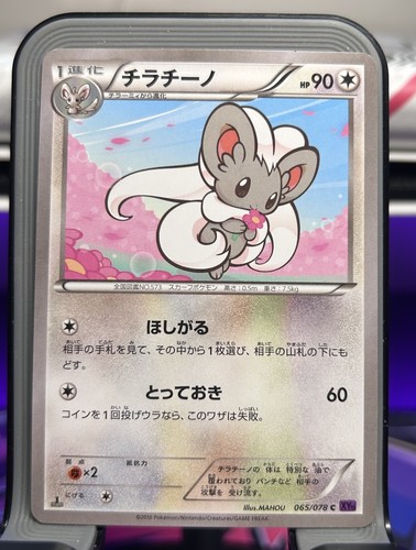 Cinccino 065 078 xy10 - cinccino,