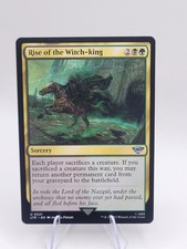 Ascesa del Re Stregone